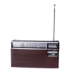 ريفورا راديو محمول للاستقبال بثلاثة نطاقات مع غطاء أمان جلدي وحامل حزام BT-USB-SD-TF-FM-AM-SW RE-218D