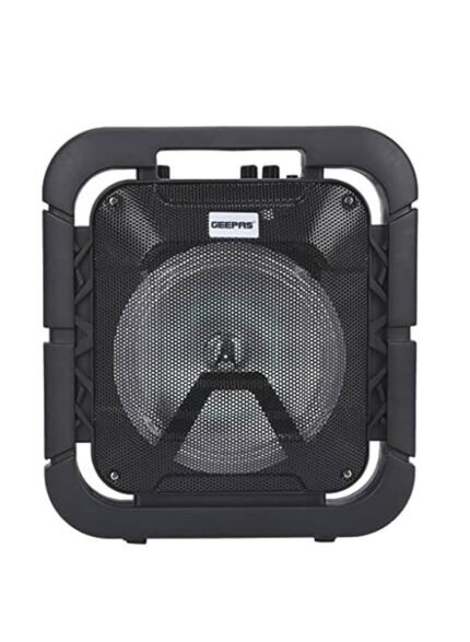 مكبر صوت احترافي